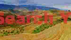 At Home douro valley terraced vineyard landscape