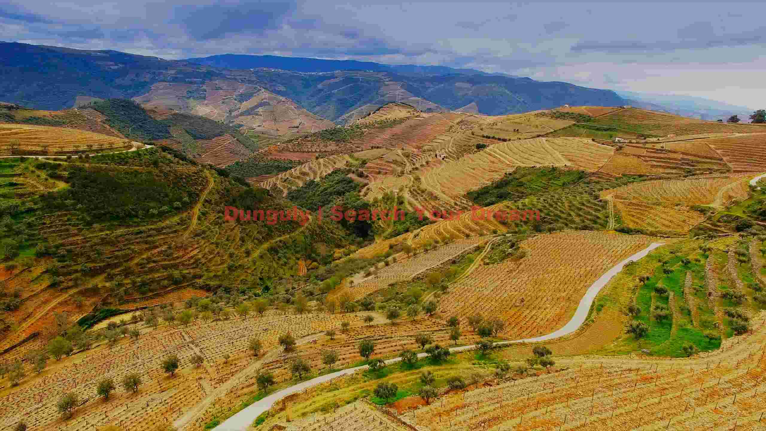 douro valley terraced vineyards panorama 1 douro valley terraced vineyards panorama 1