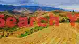 At Home douro valley terraced vineyards panorama