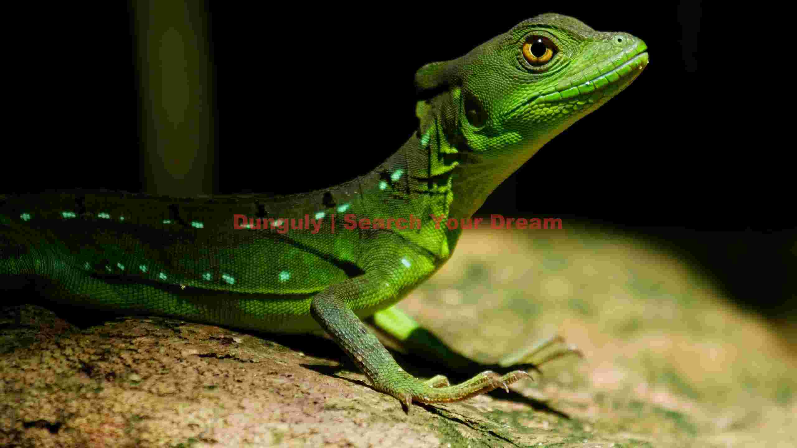 emerald basilisk jungle sentinel emerald basilisk jungle sentinel