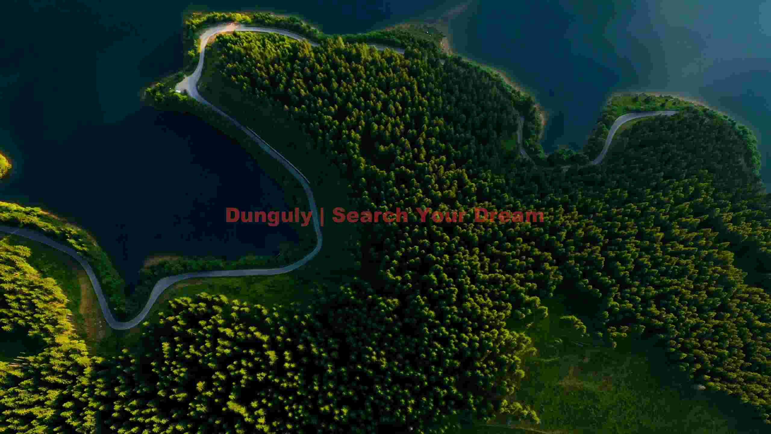 emerald forest lake road aerial view emerald forest lake road aerial view