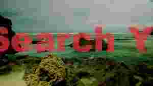 emerald green coastal retreat rocky shoreline