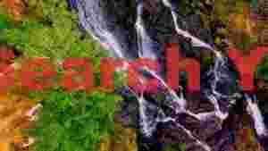 At Home emerald oasis cascading waterfall and vibrant green tree