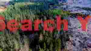 At Home forest meets moorland a verdant divide