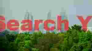 futuristic cityscape amidst lush greens