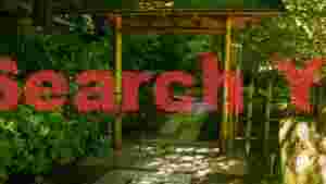gateway to tranquility lush japanese garden path