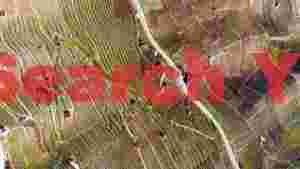 At Home geometric vineyard terraces aerial view