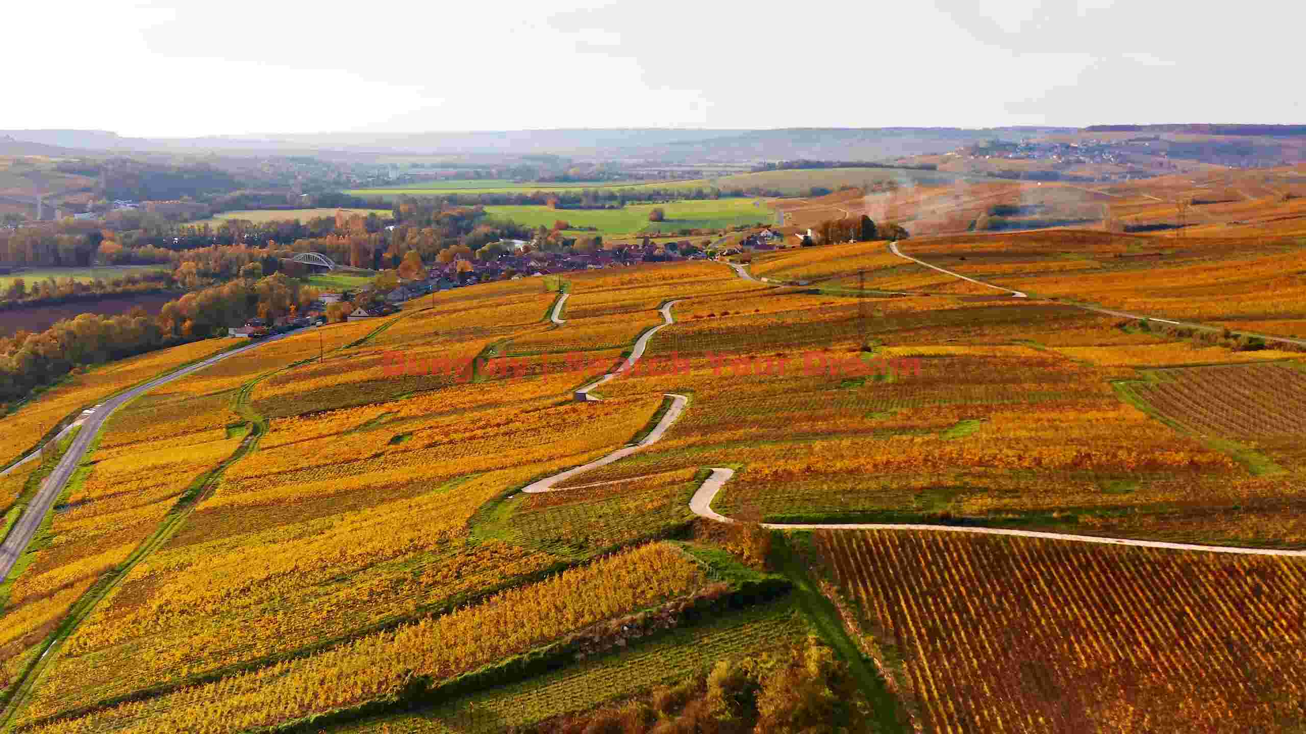 golden autumn vineyards of the french countryside golden autumn vineyards of the french countryside