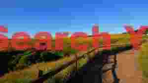 golden fields and blue sky path