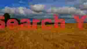 golden harvest fields under dramatic skies