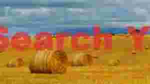 golden hay bales in harvested field