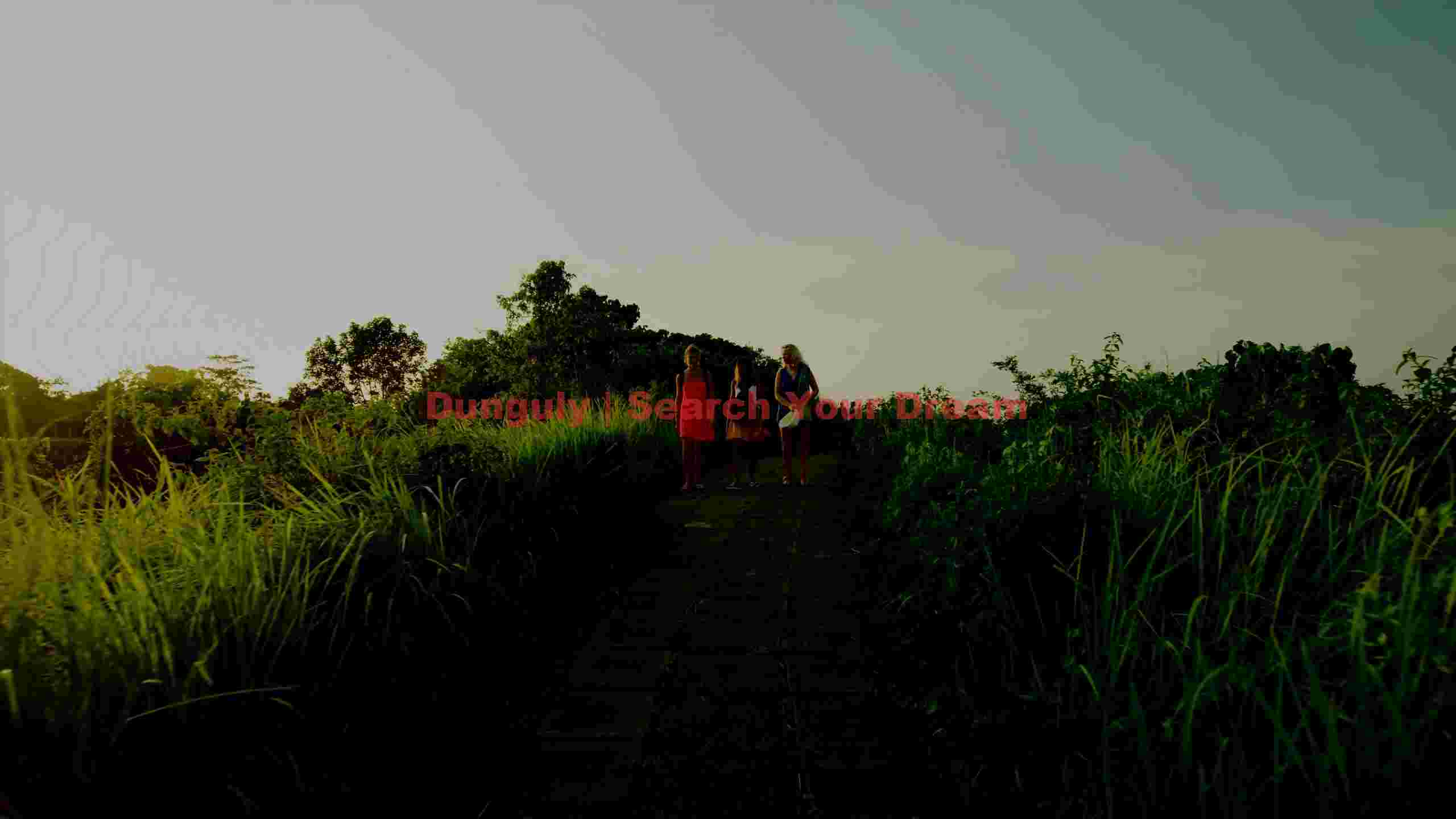 golden hour trek friends on a lush path golden hour trek friends on a lush path