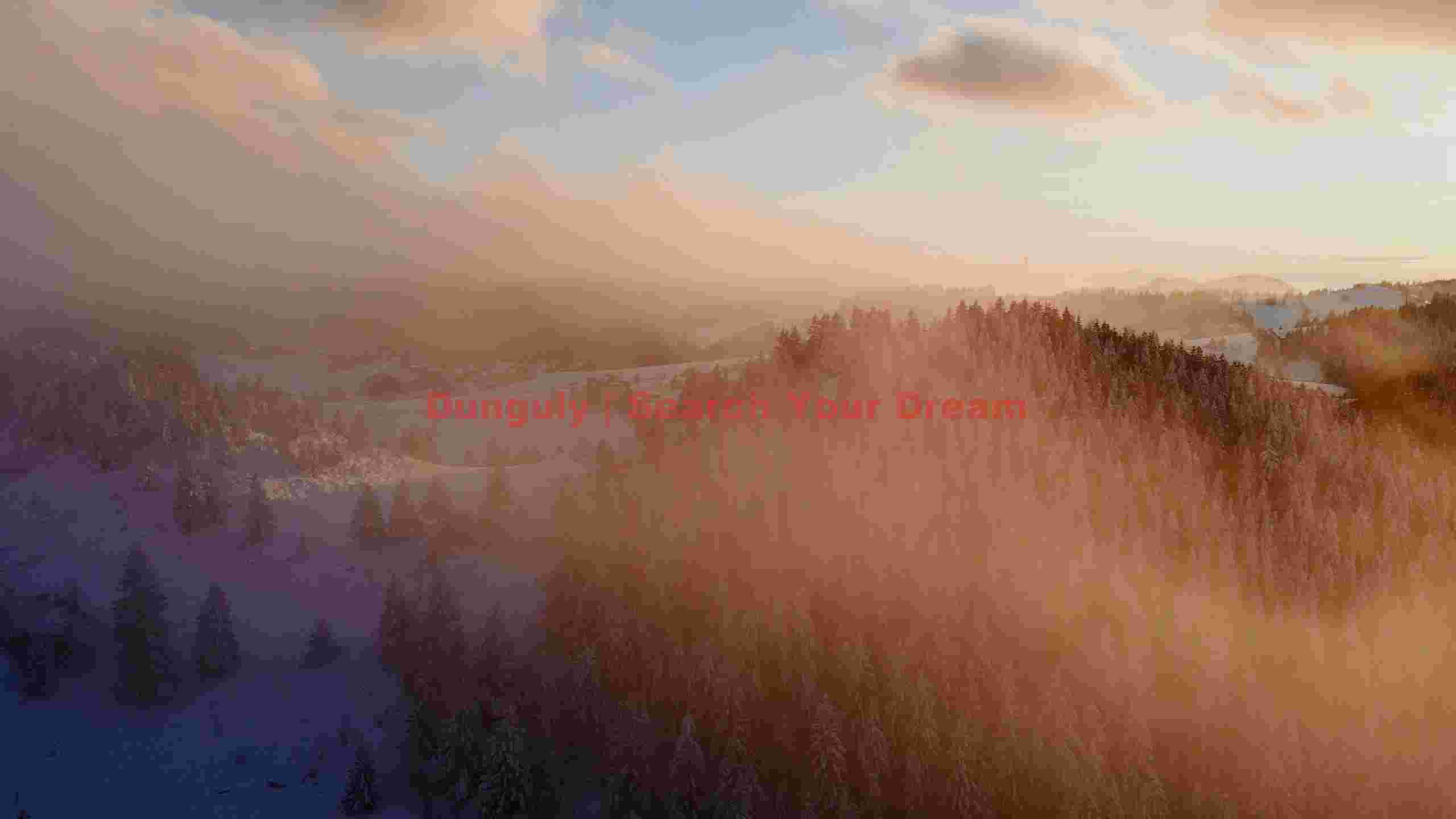 golden mist over snowy winter forest golden mist over snowy winter forest