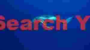graceful humpback whale in azure depths 1
