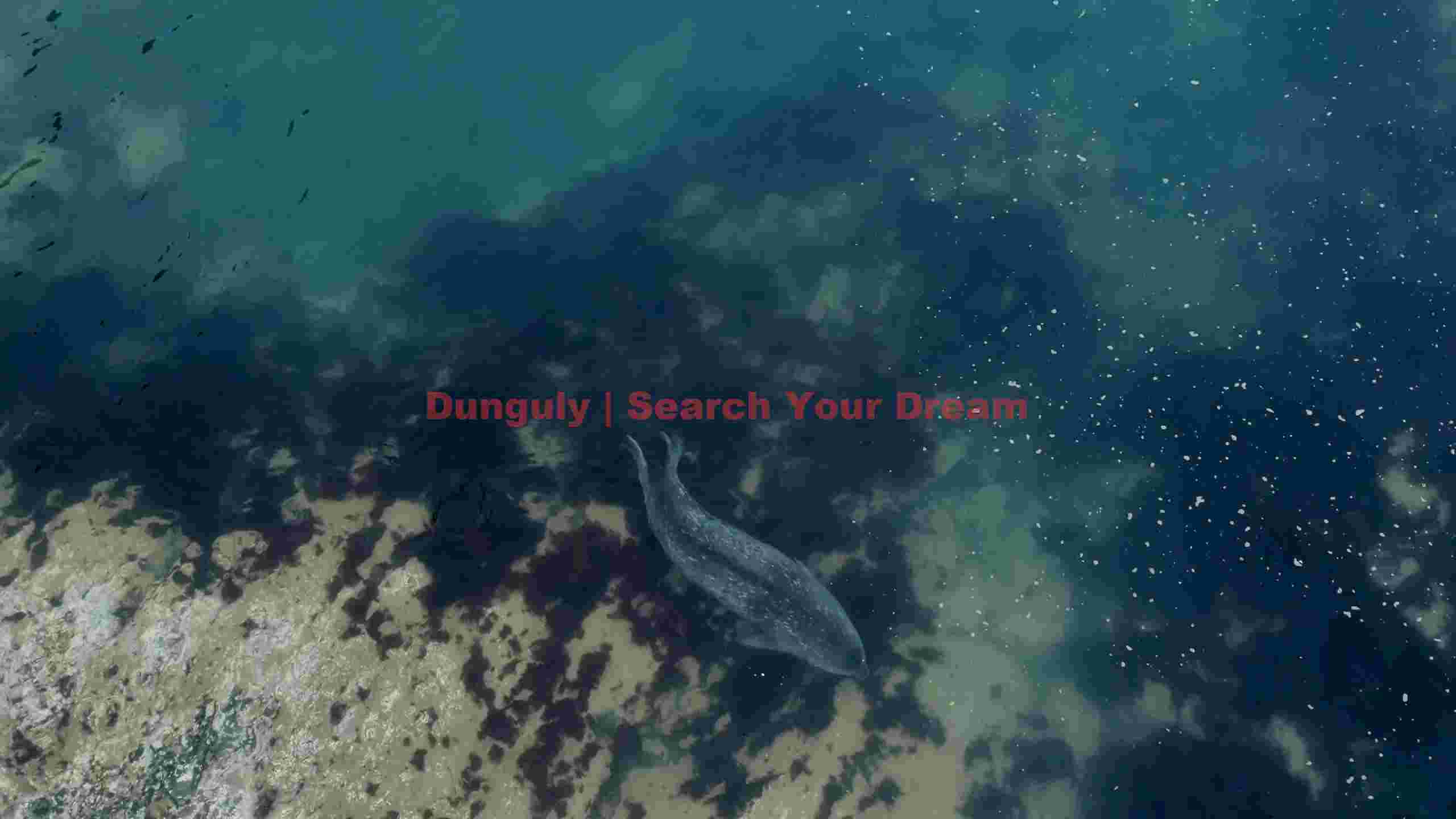 graceful seal gliding through shimmering waters graceful seal gliding through shimmering waters