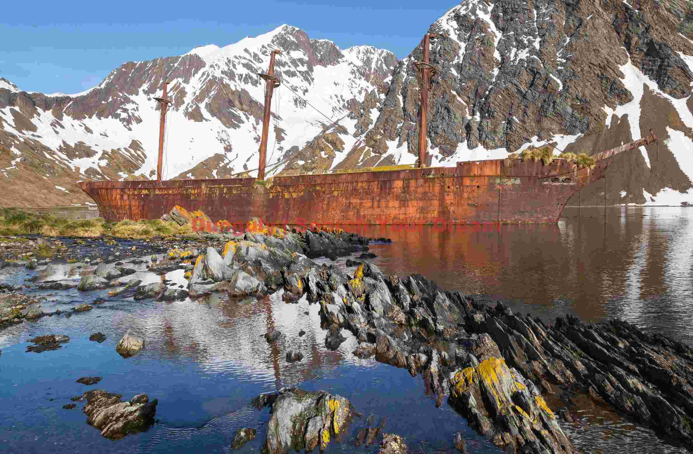 grytvikens rusty sentinel south georgia shipwreck grytvikens rusty sentinel south georgia shipwreck