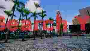 At Home historic hong kong clock tower amidst palm trees