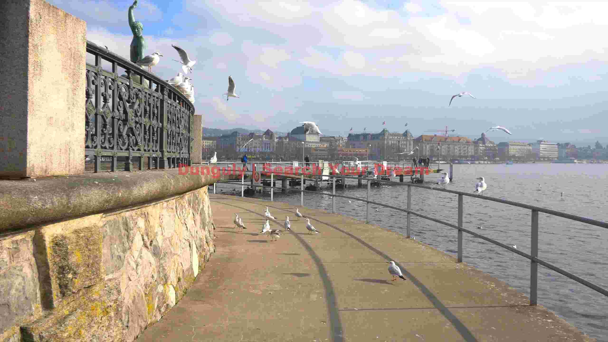 lakeside promenade with seagulls and zurich cityscape lakeside promenade with seagulls and zurich cityscape