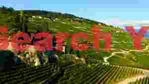 At Home lavaux vineyards terraces in sunlight