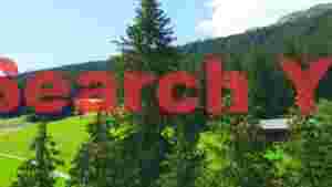 At Home lush alpine meadow and forest landscape