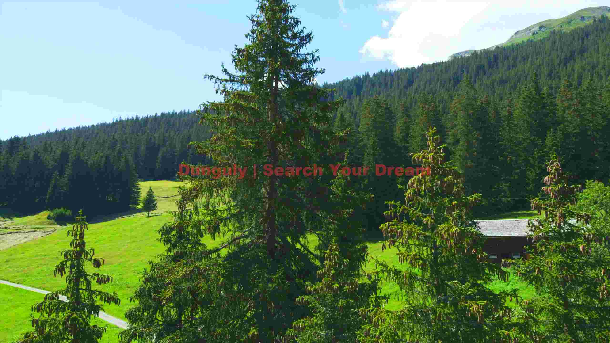 lush alpine meadow and forest landscape lush alpine meadow and forest landscape
