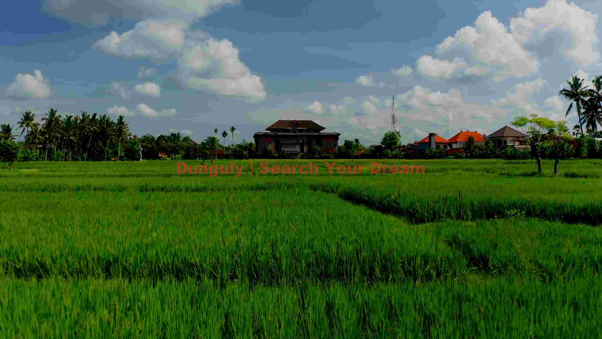 lush balinese rice fields and village panorama lush balinese rice fields and village panorama