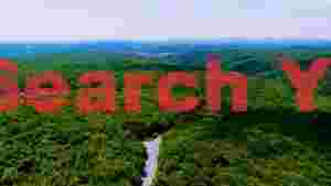 lush green forest valley panorama
