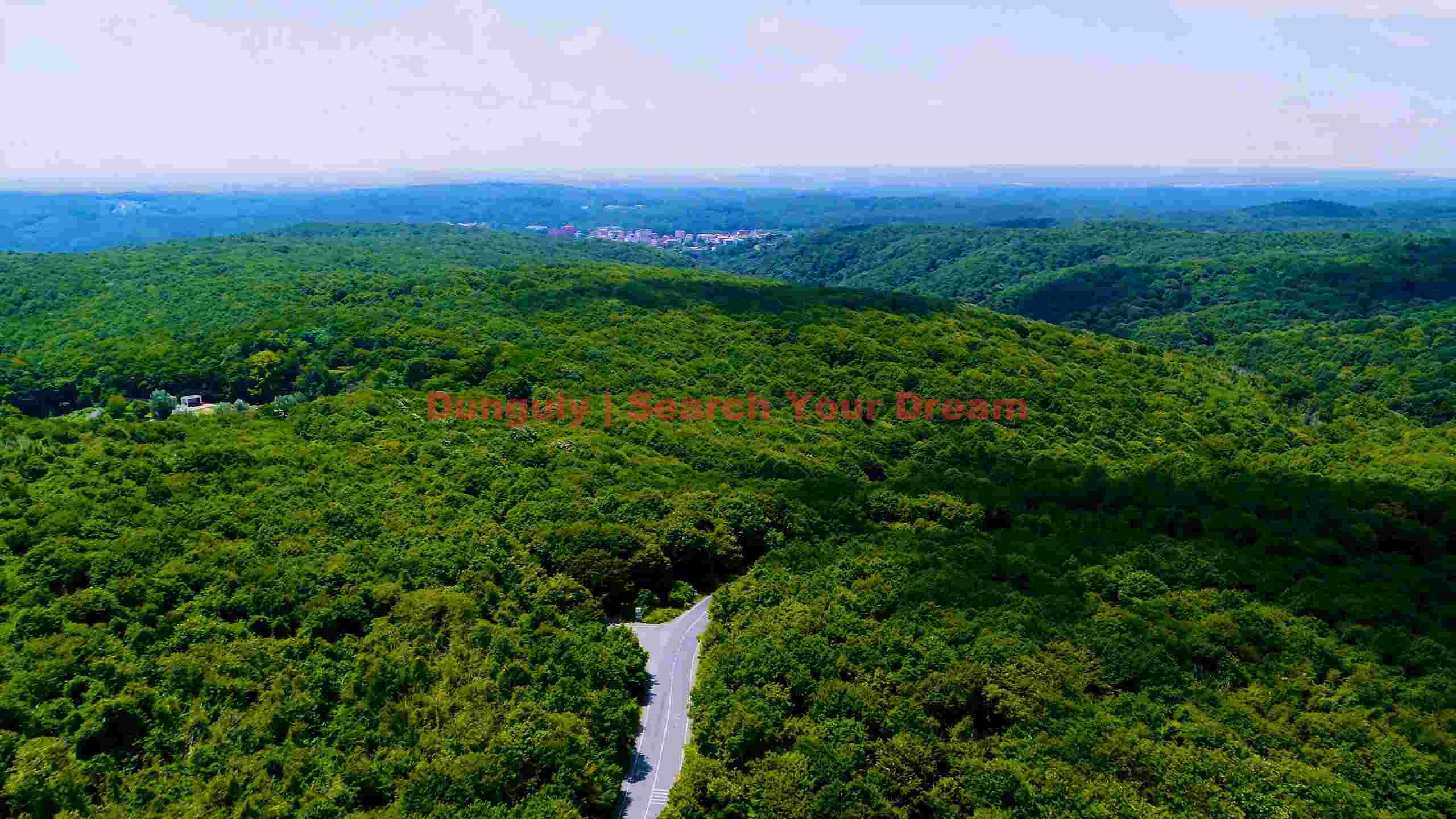 lush green forest valley panorama lush green forest valley panorama