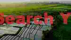 At Home lush green rice terraces at sunset