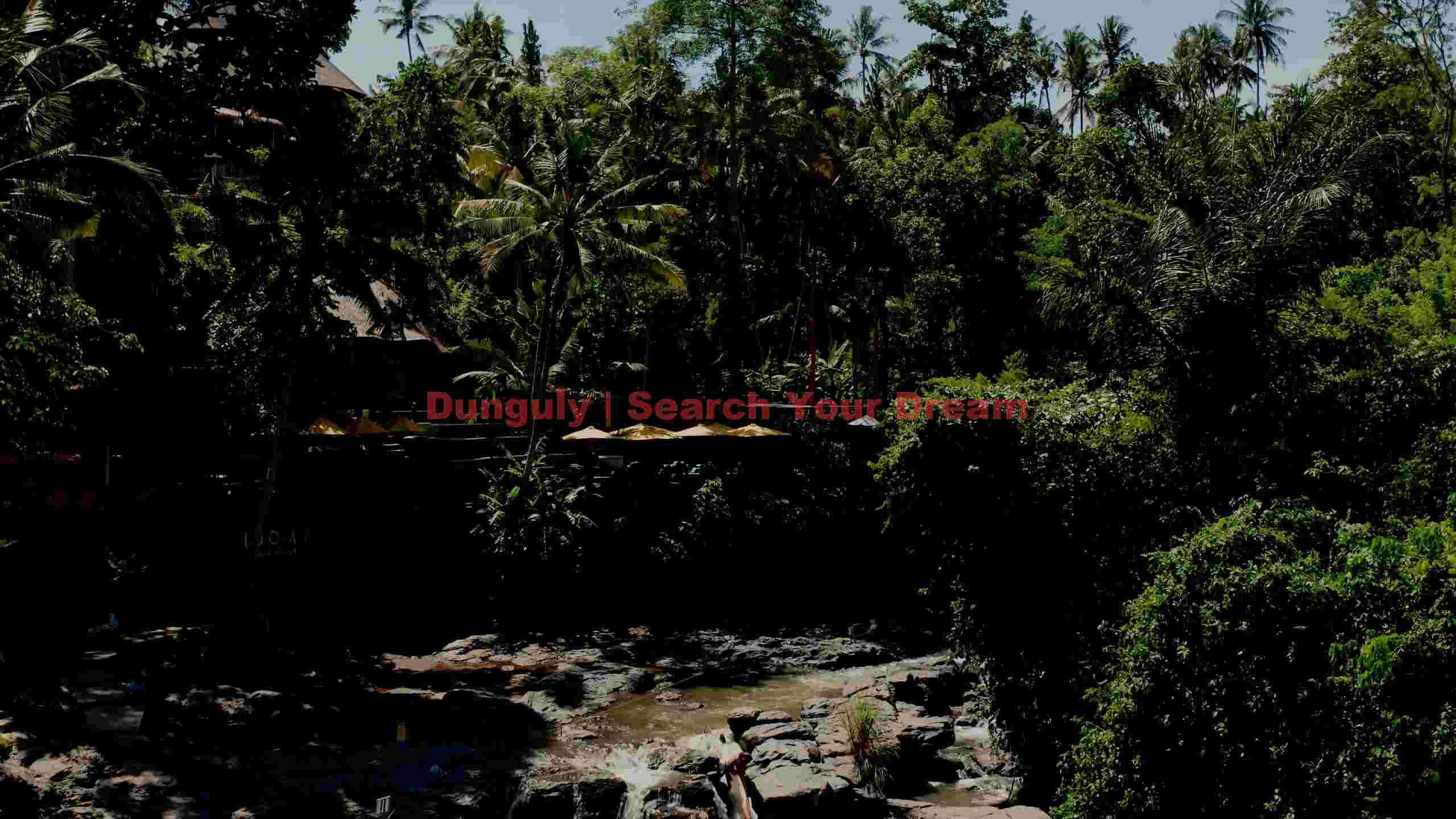 lush tropical river valley retreat lush tropical river valley retreat