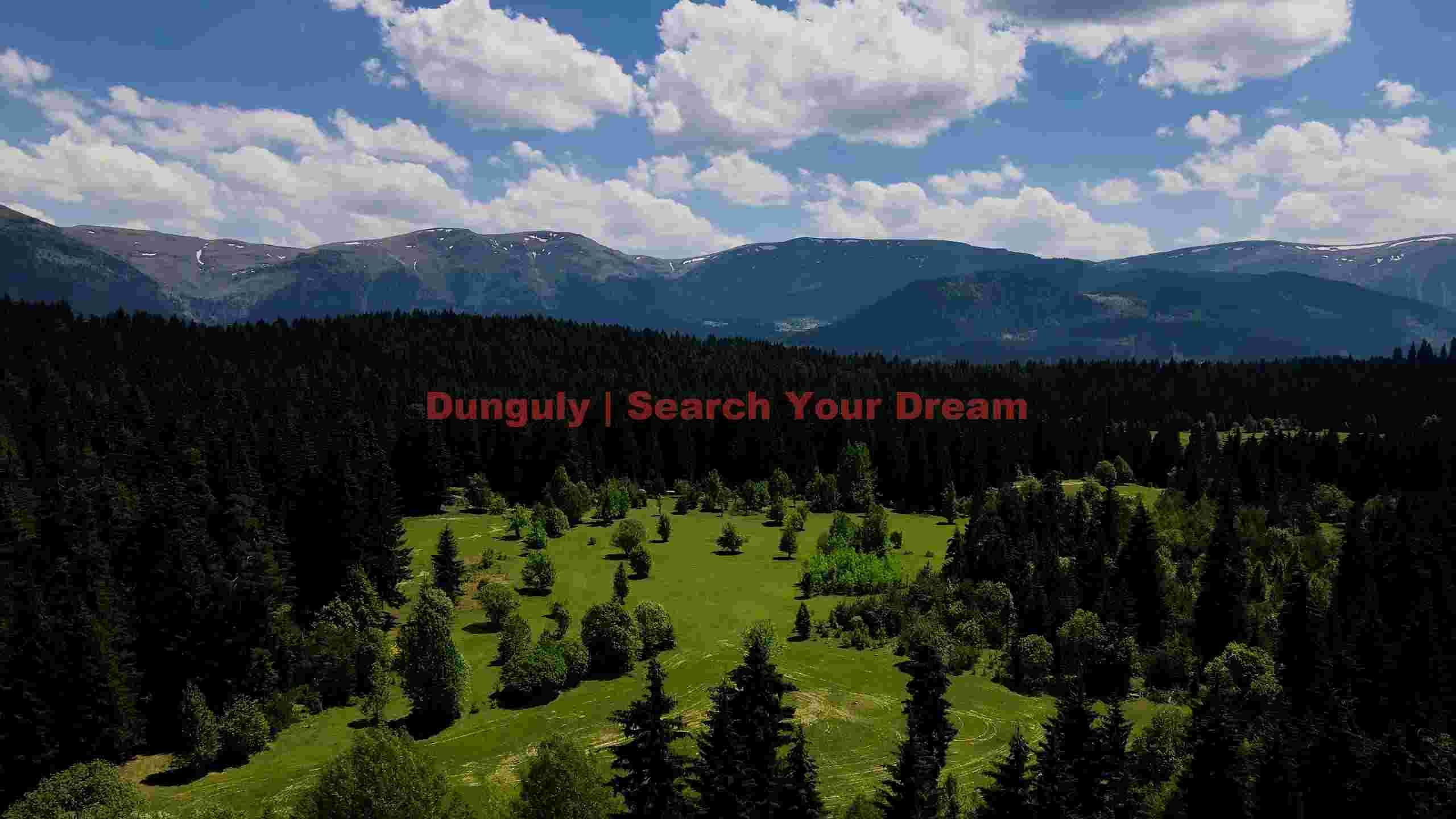 majestic alpine forest and meadow landscape majestic alpine forest and meadow landscape