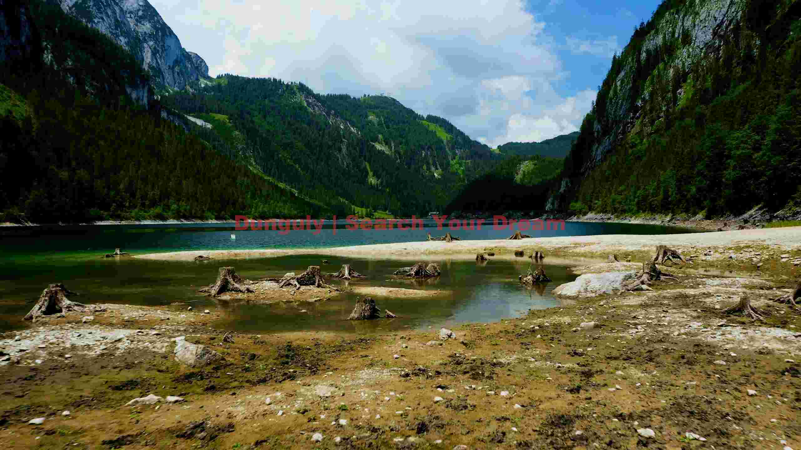 majestic alpine lake with exposed tree roots majestic alpine lake with exposed tree roots