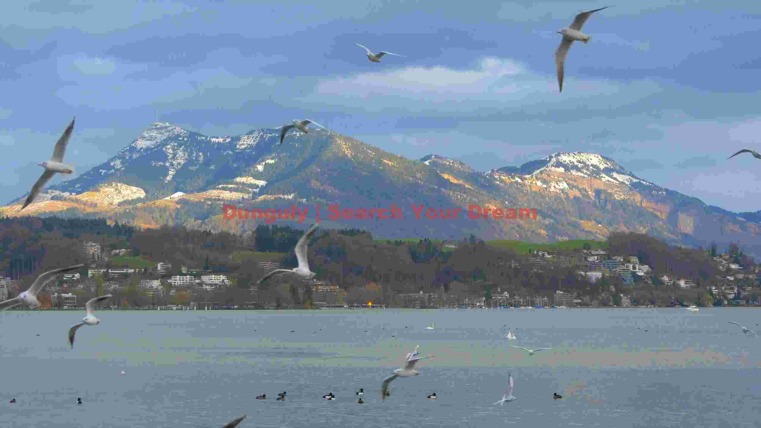 majestic alpine lake with soaring gulls majestic alpine lake with soaring gulls