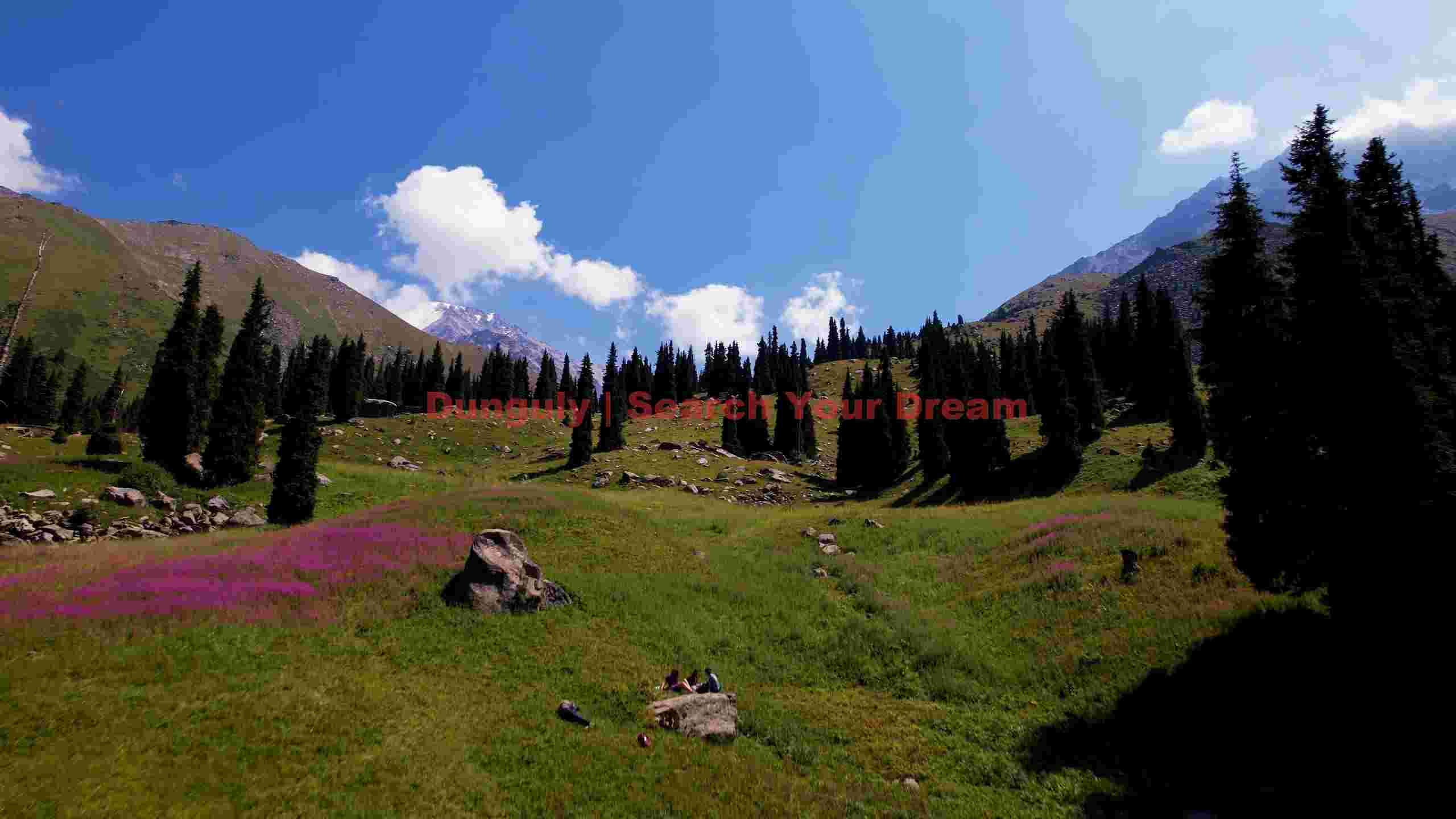 majestic green mountain valley with wildflowers majestic green mountain valley with wildflowers