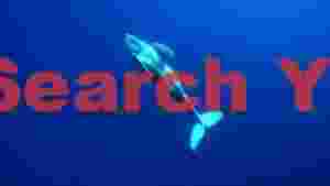 majestic humpback whale in deep blue ocean 2