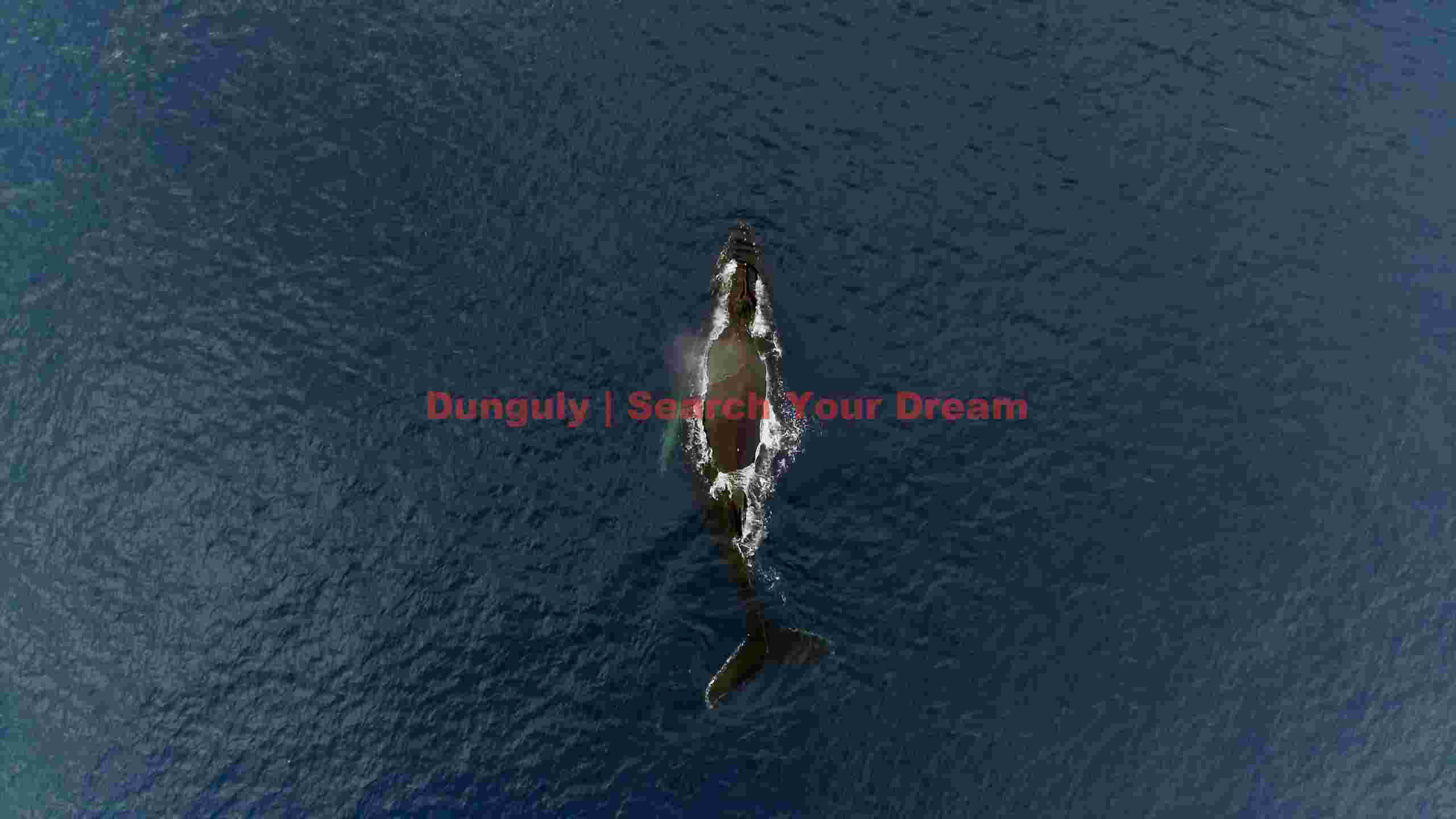 majestic humpback whale in deep blue ocean majestic humpback whale in deep blue ocean