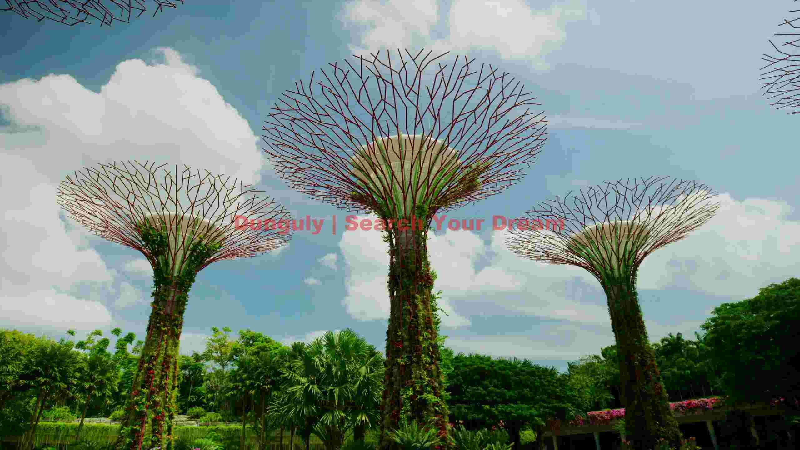 majestic supertrees of gardens by the bay 2 majestic supertrees of gardens by the bay 2
