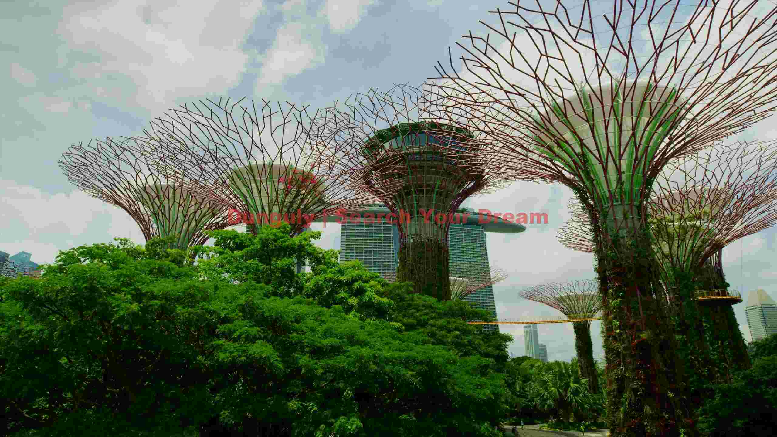 majestic supertrees of gardens by the bay singapore majestic supertrees of gardens by the bay singapore