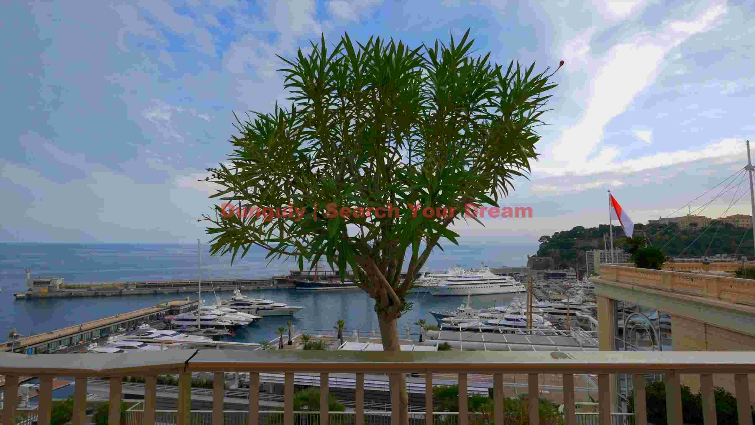 monaco harbor view with luxury yachts monaco harbor view with luxury yachts