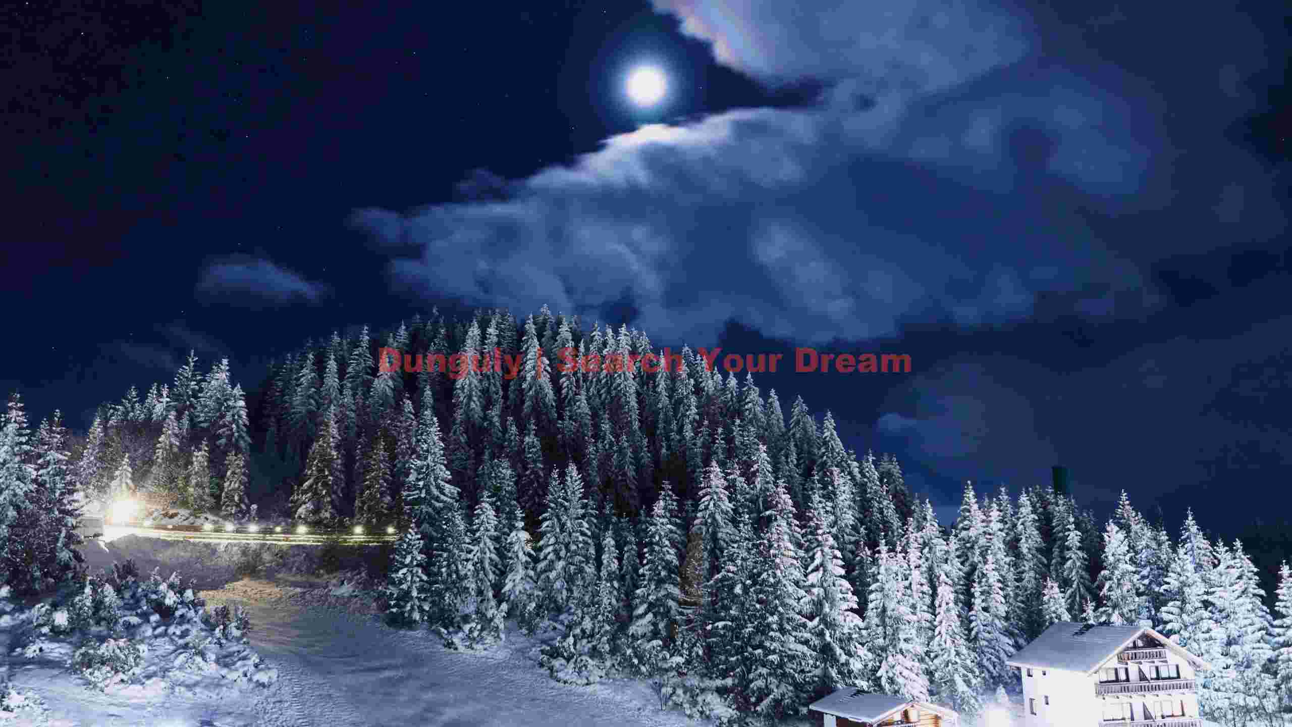 moonlit alpine winter night moonlit alpine winter night
