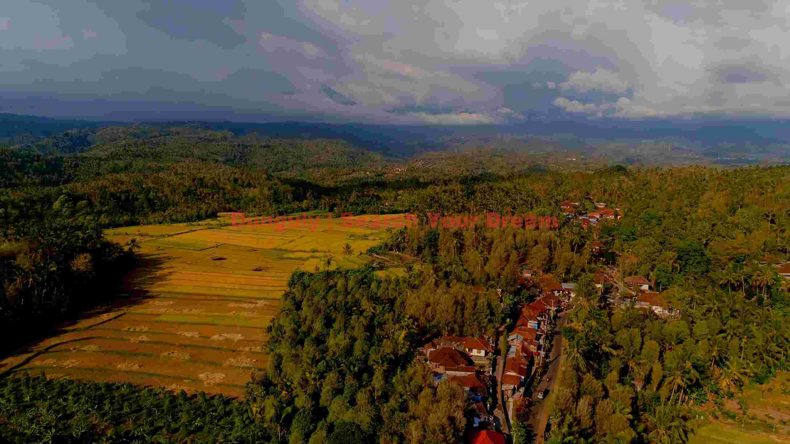 panoramic rural village and golden rice fields panoramic rural village and golden rice fields