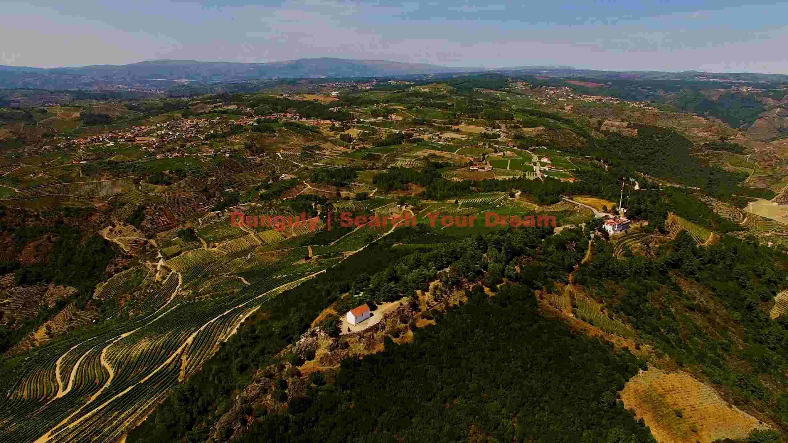 panoramic terraced vineyards of portugal panoramic terraced vineyards of portugal