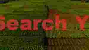 patchwork of abundant agricultural fields