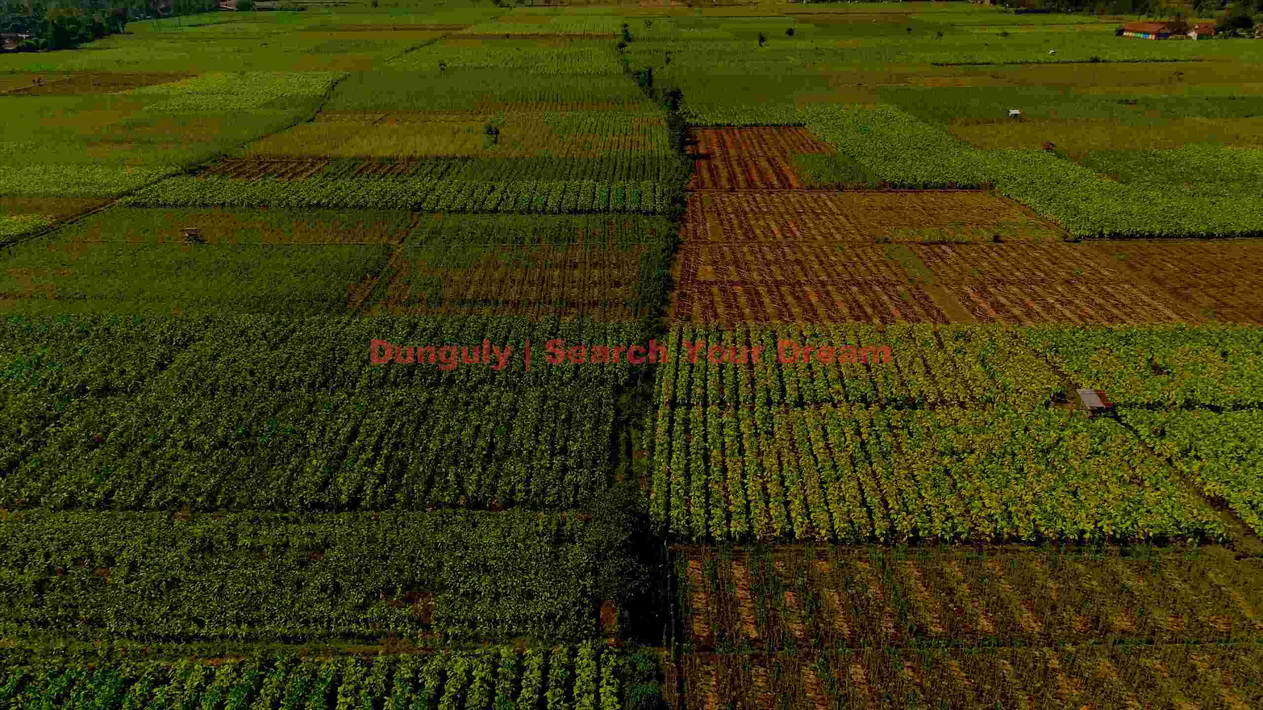 patchwork of abundant agricultural fields patchwork of abundant agricultural fields