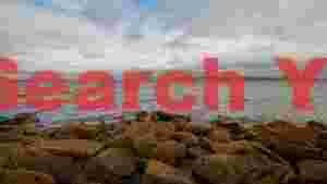 rugged coastal serenity under overcast skies