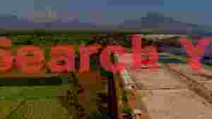 serene coastal farmland landscape