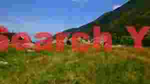 serene mountain meadow landscape