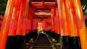 serene path of fushimi inari torii gates