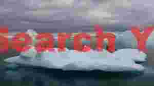 serene seal on antarctic ice floe