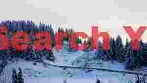 serene snow covered pine forest in winter
